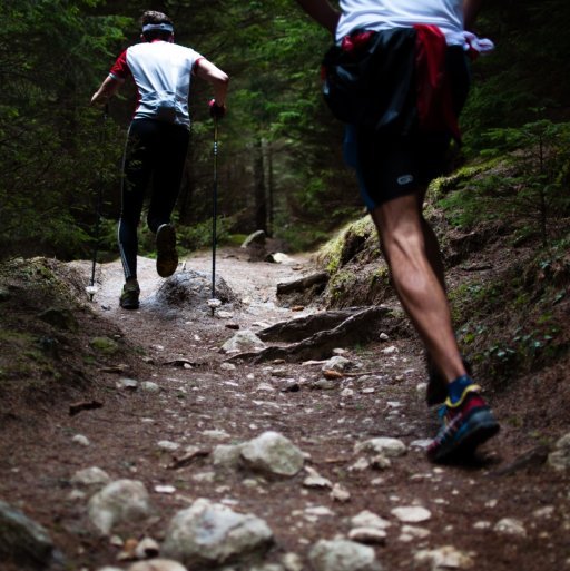 Course à pied / trail