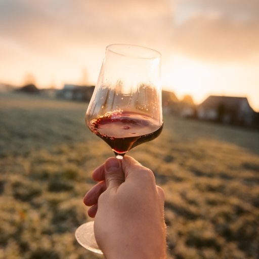 Dégustation de vin