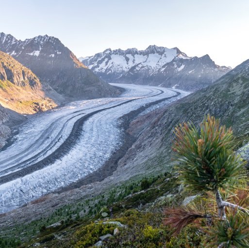 Aletsch